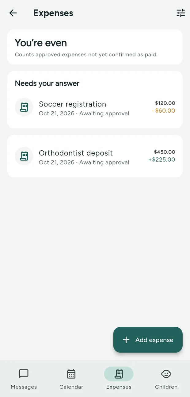 Expenses: Shares, receipts, balance
